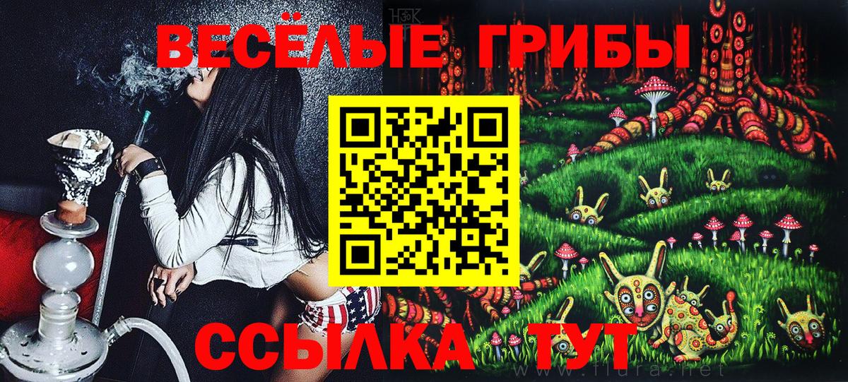 Псилоцибиновые грибы Psilocybe Тобольск