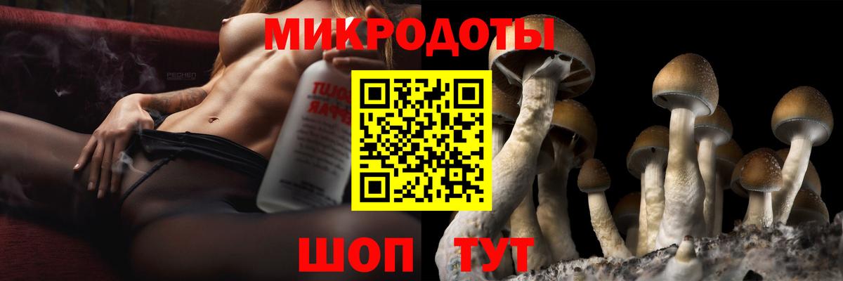 Псилоцибиновые грибы GOLDEN TEACHER  Вход с VPN  Тобольск 